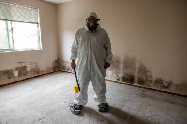 Best Mold Remediation for Specific Building Types in Guilford Center, CT